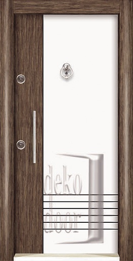 RL256 Renkli Laminox Steel Door